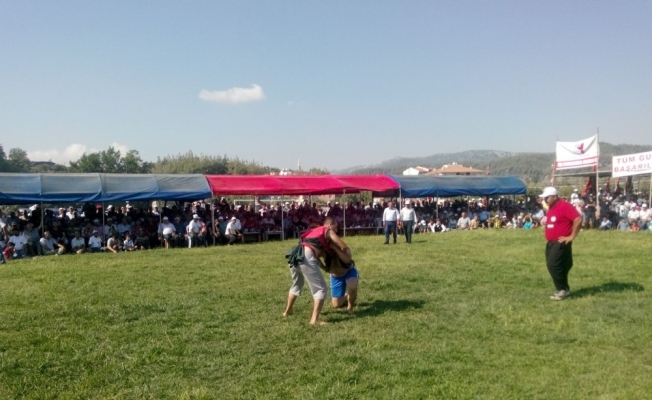 Yayladağı Kültür ve Aba Güreşi Festivali başladı