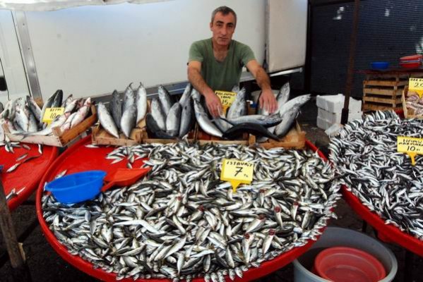 Bayramiç'te balık fiyatları yüksek seyrediyor