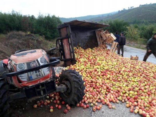 Elma yüklü traktör devrildi