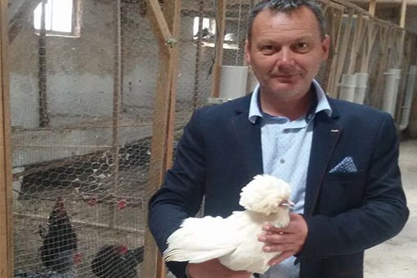 Lapseki süs tavukları İstanbul'da boy gösterecek