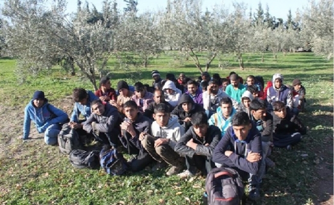 Ayvacık’ta 97 kaçak göçmen yakalandı