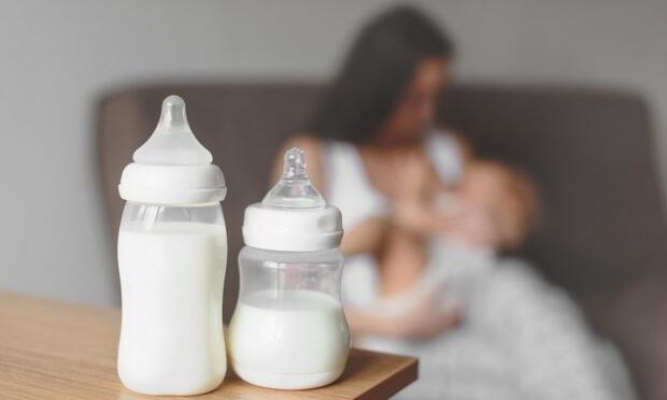 İlk 6 ayda sadece anne sütü