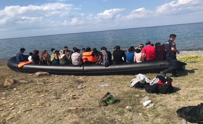 310 Kaçak göçmen yakalandı