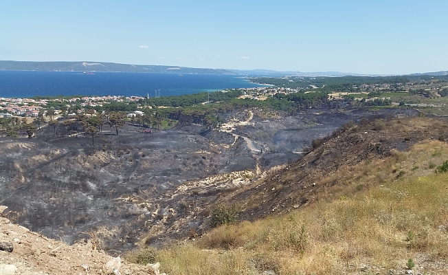 “52 orman yangınında 222 hektarlık alan zarar gördü”