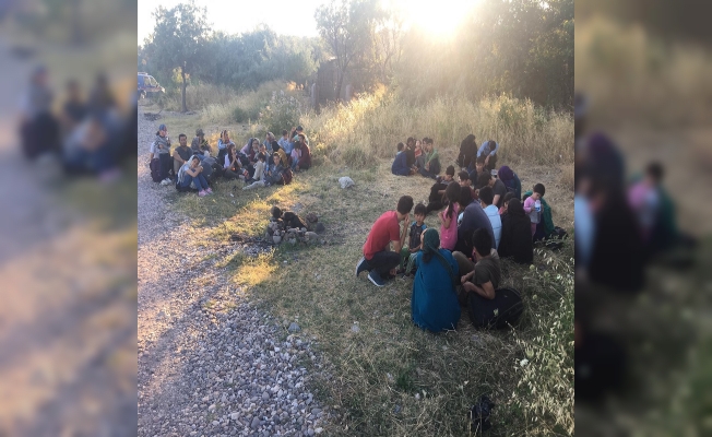 Ayvacık’ta 43 kaçak göçmen yakalandı