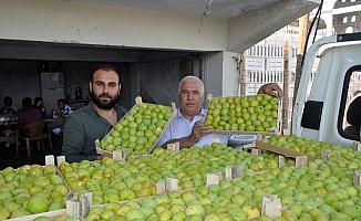 İncirin başkenti Aydın’da taze incir ihracat başladı