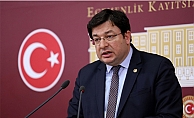 Erkek; “Yılmaz, Türkiye’de neden gözaltına alınmadı”