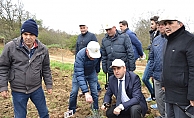 Bigalı Mehmet Çavuş Ağaçlandırma Projesi