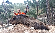 Avcı vurduğu domuzun saldırısına uğradı