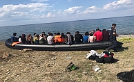 310 Kaçak göçmen yakalandı