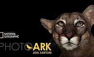 National Geographic sergisi 'Photo Ark', dijital ziyarete açıldı